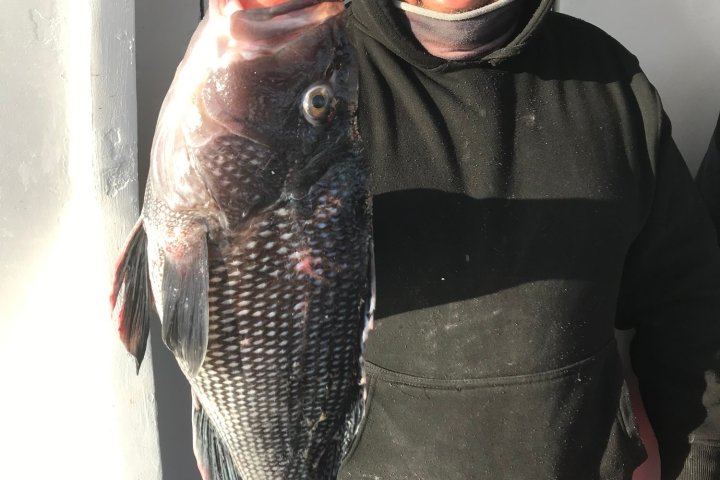 a man holding a fish