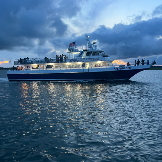 A lit cruise ship on water during dusk with a cloudy sky.