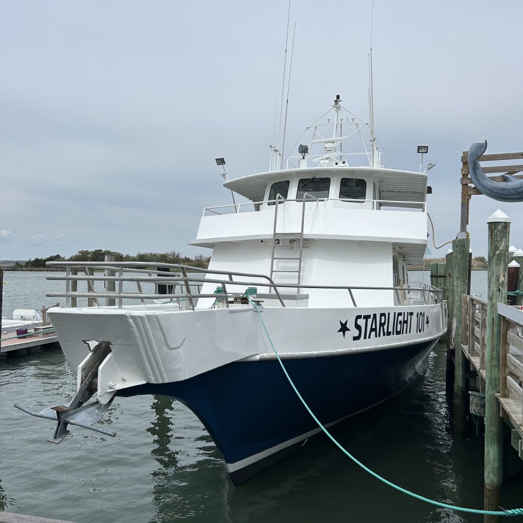 White boat named 'STARLIGHT' docked at a pier with a dolphin statue nearby.